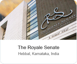 The Royale Senate